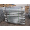 Different sizes Hot dipped galvanized Ground pole screw anchor